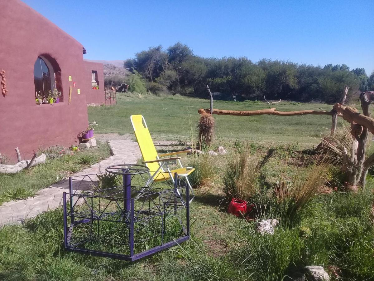 Cabana El Cardon,Casita En El Campo Quebradeno 우마우아카 외부 사진
