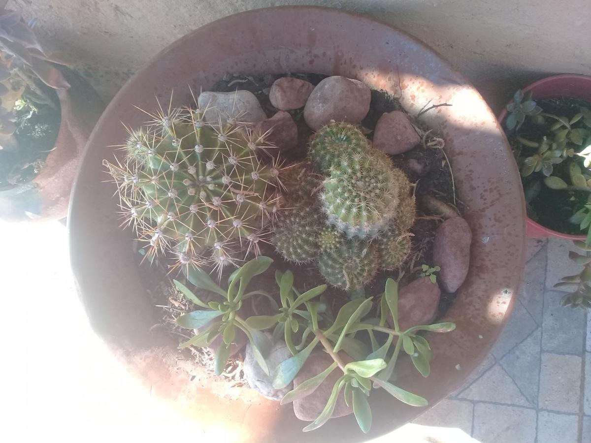 Cabana El Cardon,Casita En El Campo Quebradeno 우마우아카 외부 사진