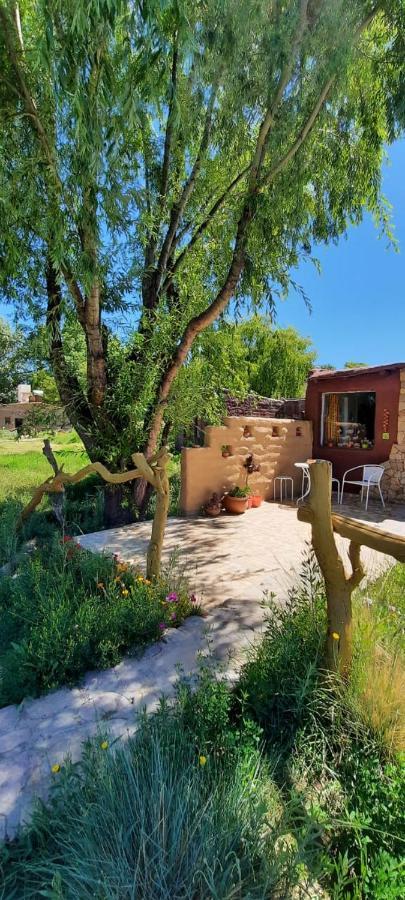 Cabana El Cardon,Casita En El Campo Quebradeno 우마우아카 외부 사진
