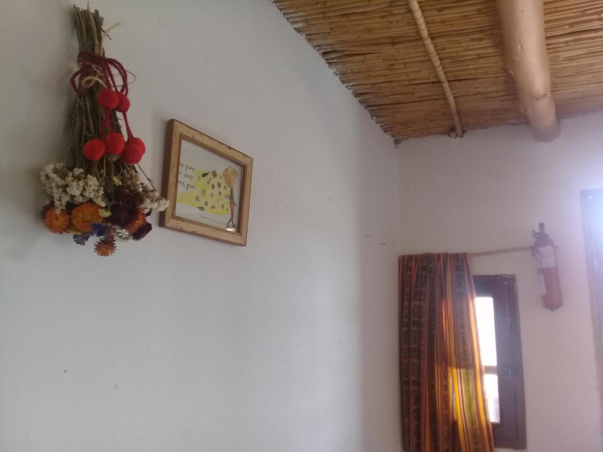 Cabana El Cardon,Casita En El Campo Quebradeno 우마우아카 외부 사진