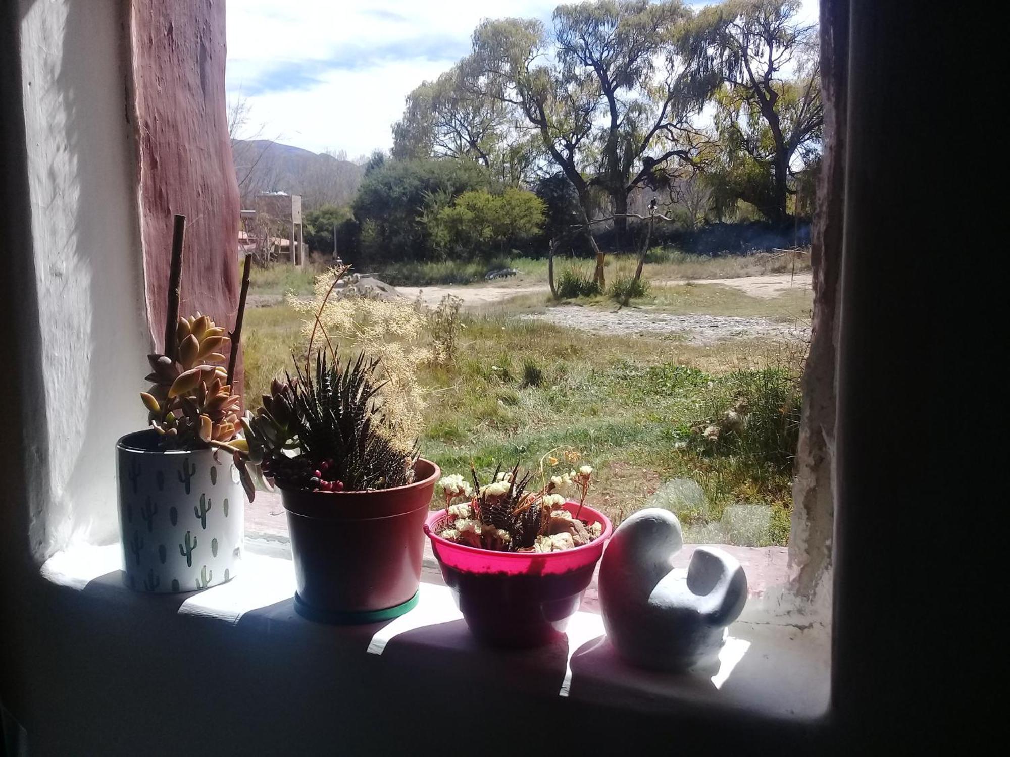 Cabana El Cardon,Casita En El Campo Quebradeno 우마우아카 외부 사진