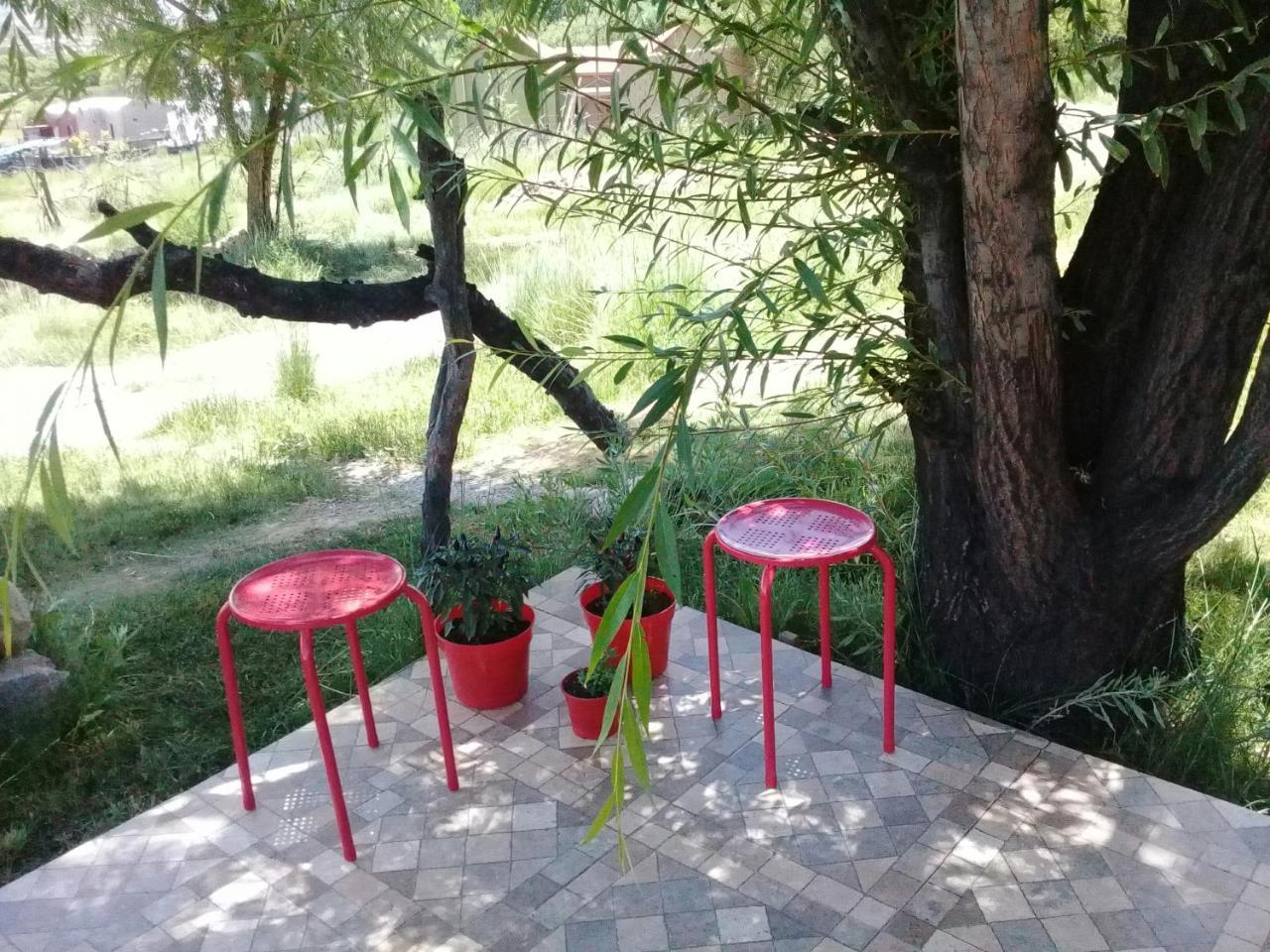 Cabana El Cardon,Casita En El Campo Quebradeno 우마우아카 외부 사진